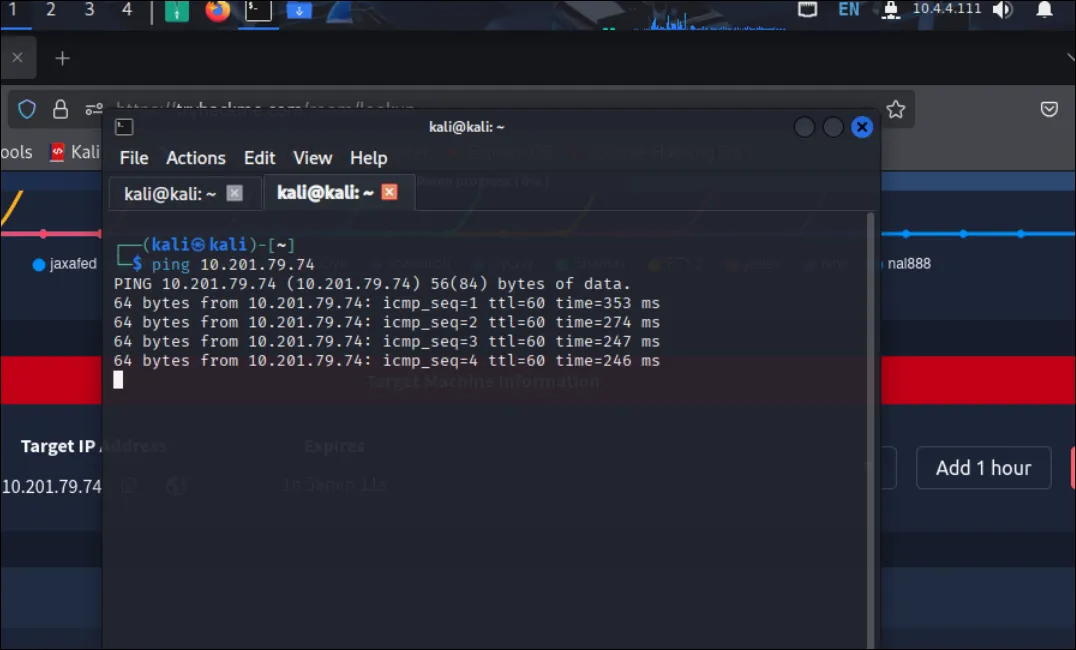 Ping target IP