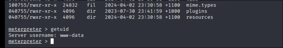 Meterpreter www-data